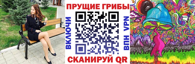 kraken как войти  закладки  Долинск  Галлюциногенные грибы Cubensis 